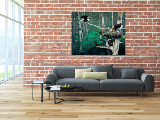 ORIGINAL-Eagle Family