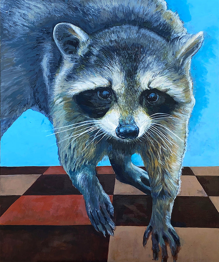 raccoon_ house_escape