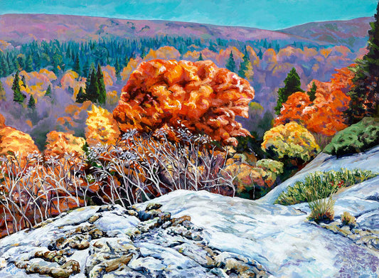 Print-Haliburton Forest