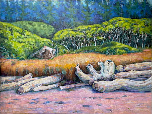 Logs , Beach Bank . Sandy shore, shrubs