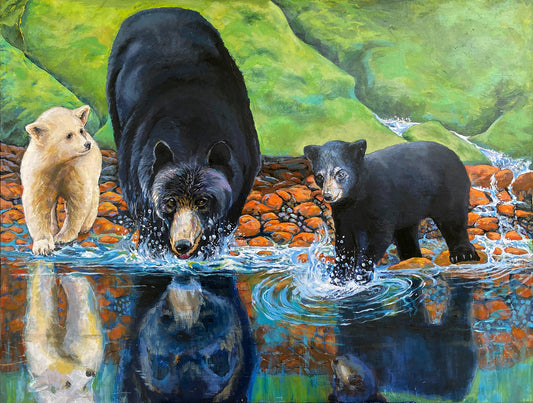 Black Bear_Cubs_ White cub_drinking water