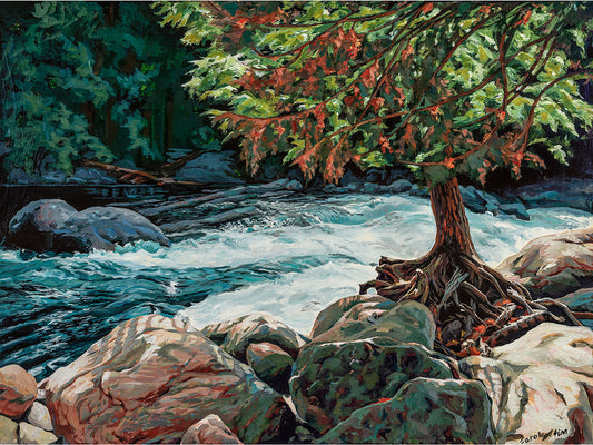 Imposing tree_White water_Large granite rocks by shoreline