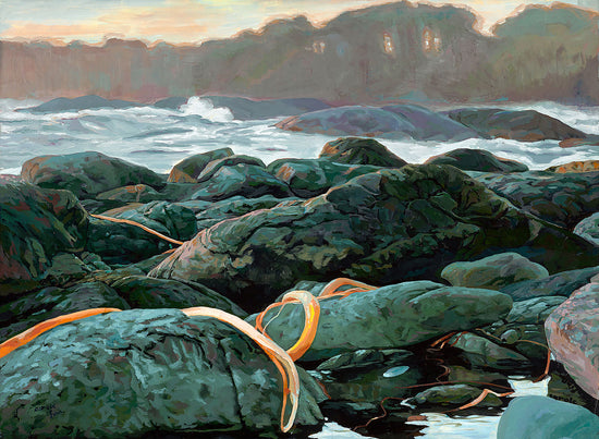 beach by ocean_tide_Mist_Volcanic rocks_kelp strands on Rocks
