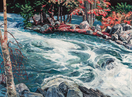 Minden_ White Water_below Falls _buffin rock 