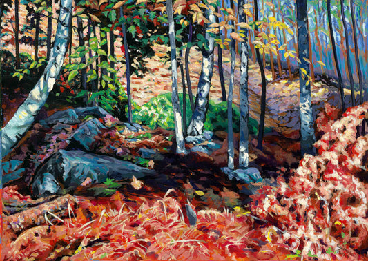 bird grove_ sloping forest floor_fallen leaves _granite rocks-grasses