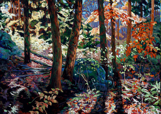 trees on Slope_fall colours- leaves on ground_Trees_ logs