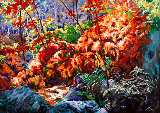 ferns _forest floor-drying in fall_trees