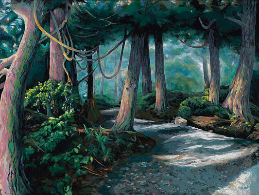 Trail . pathway Looping Vines Tree Branches, Canopy