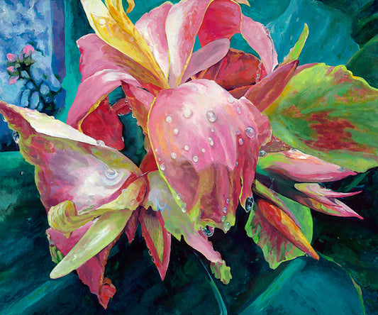 Pink Lily_Rain Drops on Flower