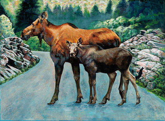 moose cow_ moose Calf_Granite rock-Algonquin Park