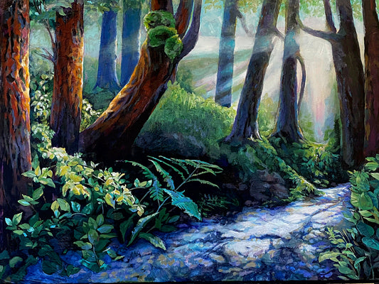 Trail in Rainforest Fog Sun coming Through, Ferns