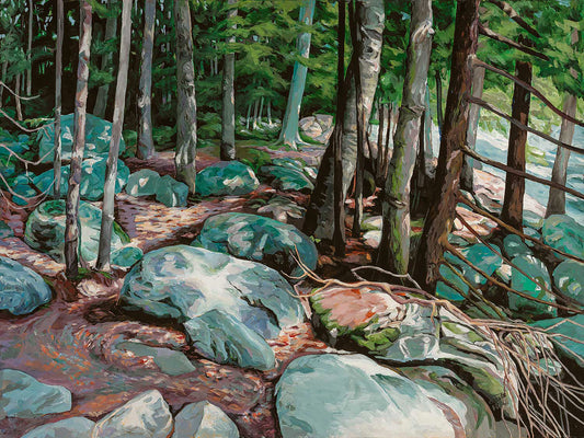 woods_rocks beside falls