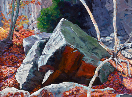 Unique rock shape _ dead birchGranite ridge_ Fall leaves colour