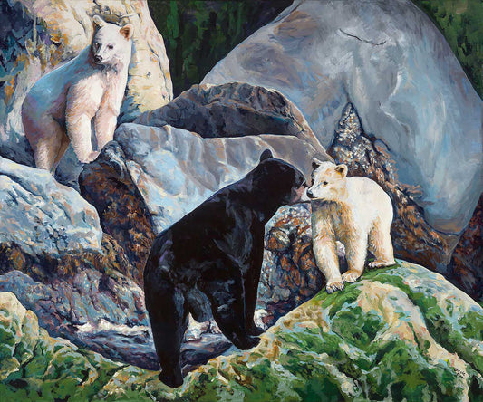 Black bear _white Cubs_Rainforest rocks