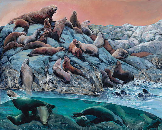 ORIGINAL- Steller Sea Lions