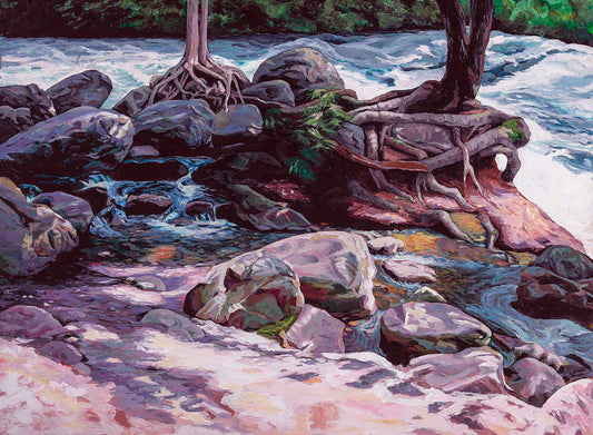 falls_white water_ roots of trees_ rocks