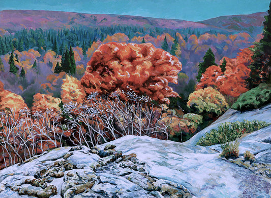 Haliburton Forest-view from ledge_fall colour