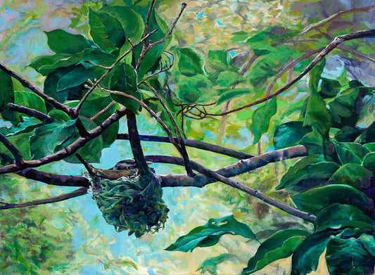 Vireo in nest_ Nest in Lilac_ Closeup