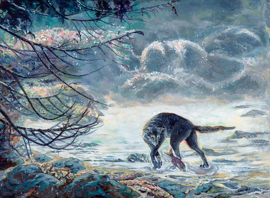 Wolf Fishing_Salmon_foggy morning