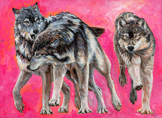 Wolves Running, Pink Background