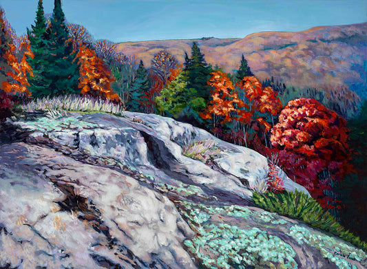 granite ledge_oerlooking river_ Haliburton forest 