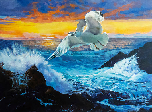 Brilliant sunset, Smashing waves, rocks , Tide, Gulls