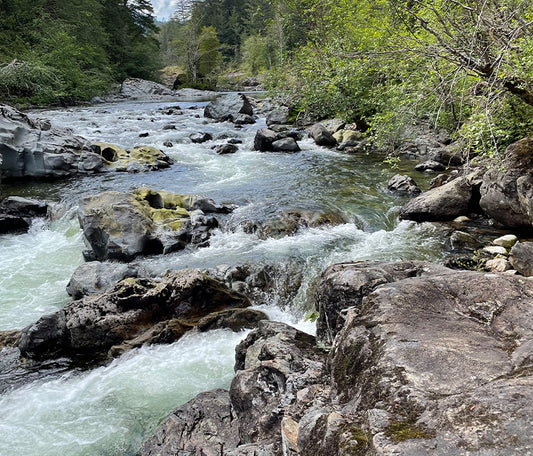 Class Art On the Edge  Sooke Potholes